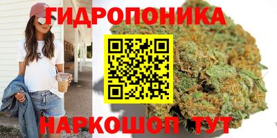 прущие грибы Гусь-Хрустальный