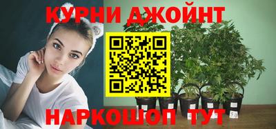 прущие грибы Гусь-Хрустальный