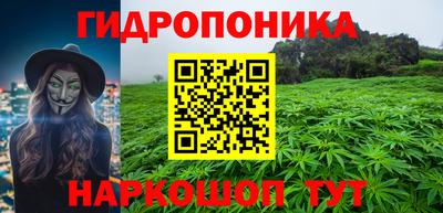 прущие грибы Гусь-Хрустальный