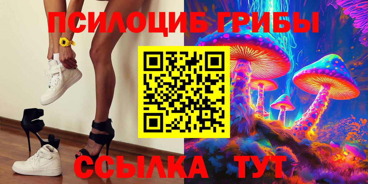Галлюциногенные грибы Psilocybine cubensis Ефремов