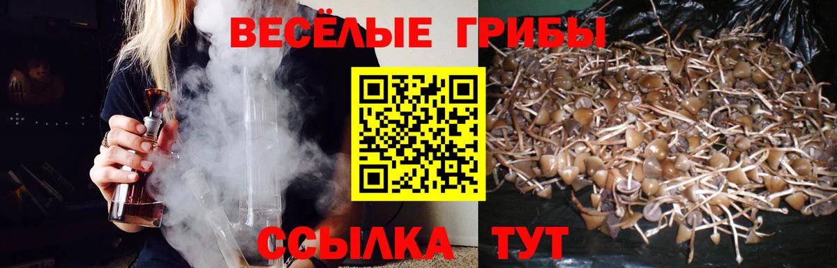 Галлюциногенные грибы Psilocybine cubensis  Вход с VPN  Галлюциногенные грибы GOLDEN TEACHER  Ефремов 